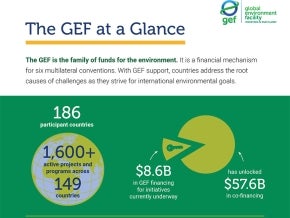 Cover image for publication "GEF at a Glance"