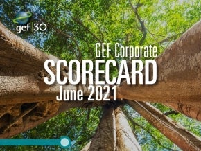 Cover for GEF-7 Corporate Scorecard - June 2021
