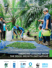 Cover image for publication "GEF-6 Commodities IAP Program: Emerging Lessons from the Good Growth Partnership"