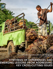 Cover image for publication "GEF-6 IAP Programs: Synthesis of Experiences and Emerging Lessons from Addressing Key Cross-cutting Issues"