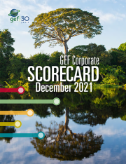 Cover image for publication "GEF-7 Corporate Scorecard December 2021"