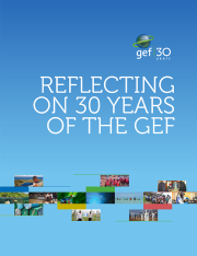 Cover image for publication "Reflecting on 30 Years of the GEF"