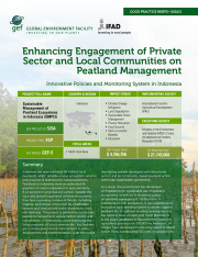 Cover image for publication "Good Practice Brief: Enhancing Engagement of Private Sector and Local Communities on Peatland Management"