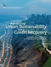 Cover image for publication "Advancing Urban Sustainability for a Green Recovery"