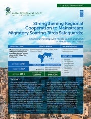 Cover image for publication "Good Practice Brief: Strengthening Regional Cooperation to Mainstream Migratory Soaring Birds Safeguards"