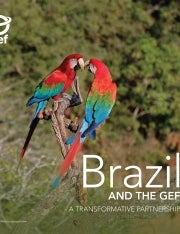 Cover image for publication "Brazil and the GEF"
