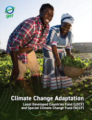 Cover image for publication "Climate Change Adaptation"