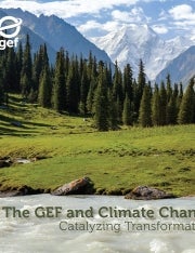 Cover image for publication "The GEF and Climate Change"
