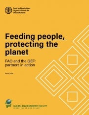 Cover for Feeding people, protecting the planet - FAO and the GEF: partners in action