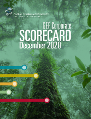 Cover of GEF Corporate Scorecard December 2020