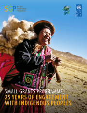 Cover image for SGP publication Small Grants Programme: 25 Years of Engagement with Indigenous Peoples