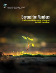 Cover image of Beyond the Numbers publication
