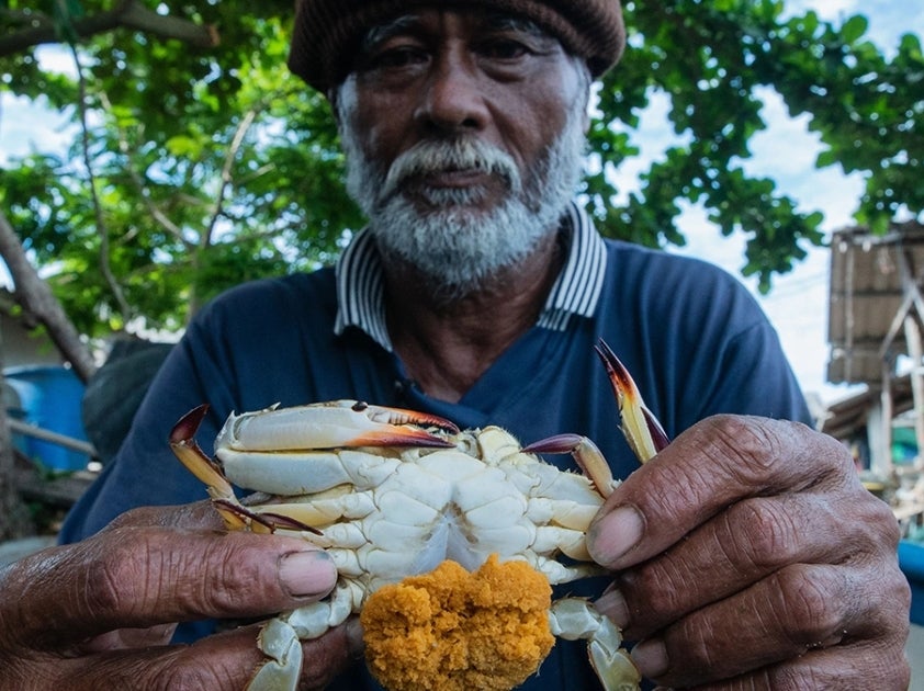 Man holding crab with eggs