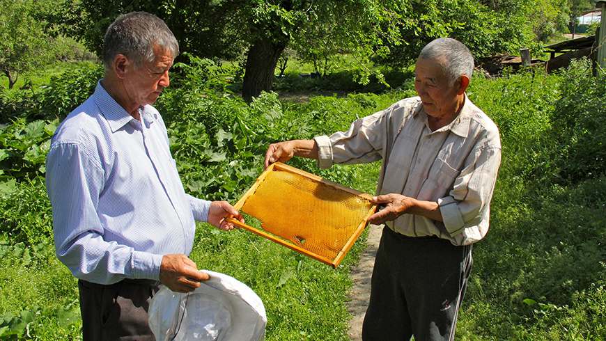 Kazakh_beekeepers_news_size.jpg
